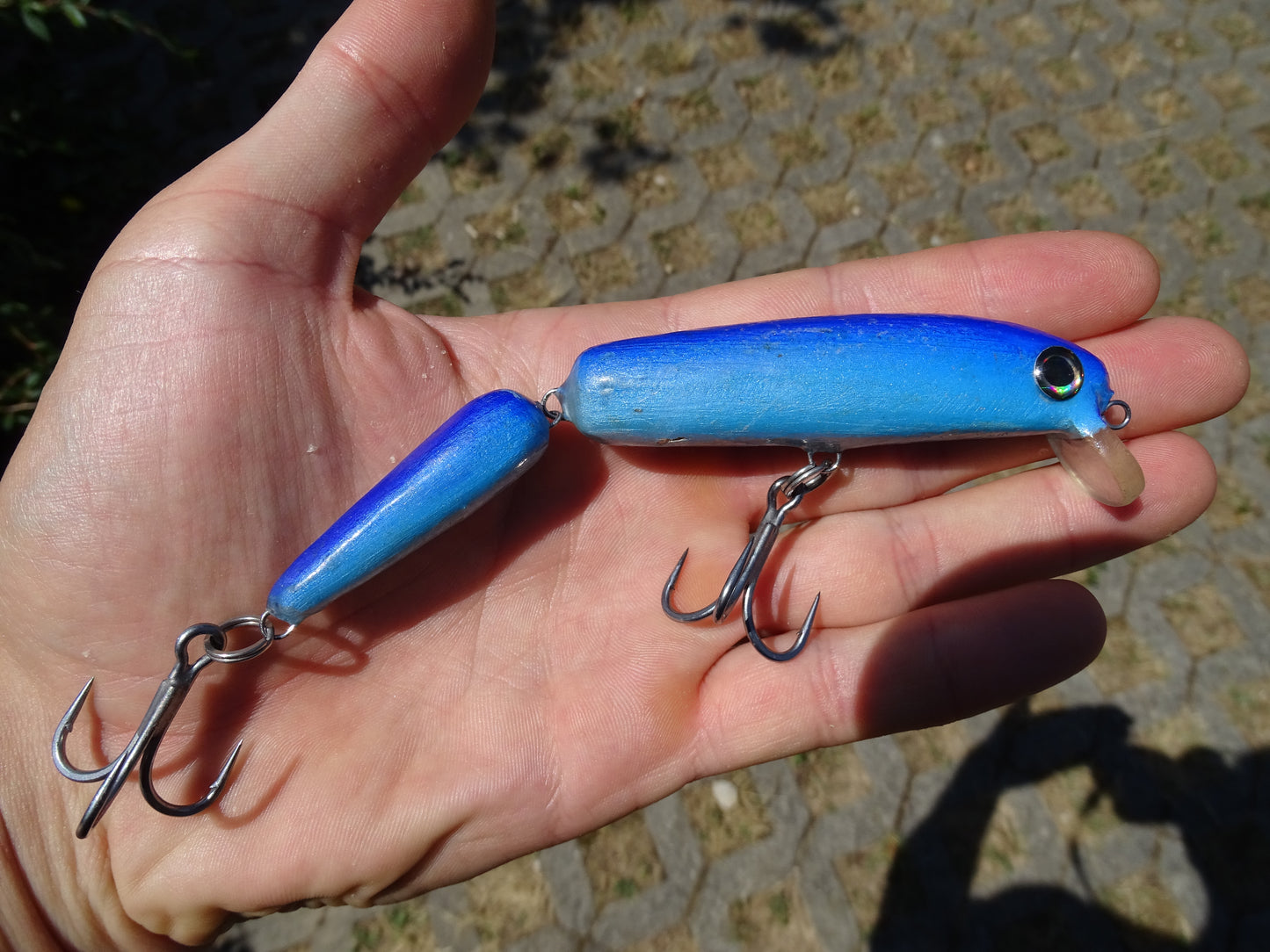 DGF Cat 13cm