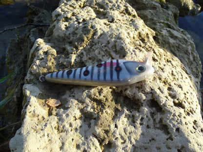 DGF Flasher 12cm