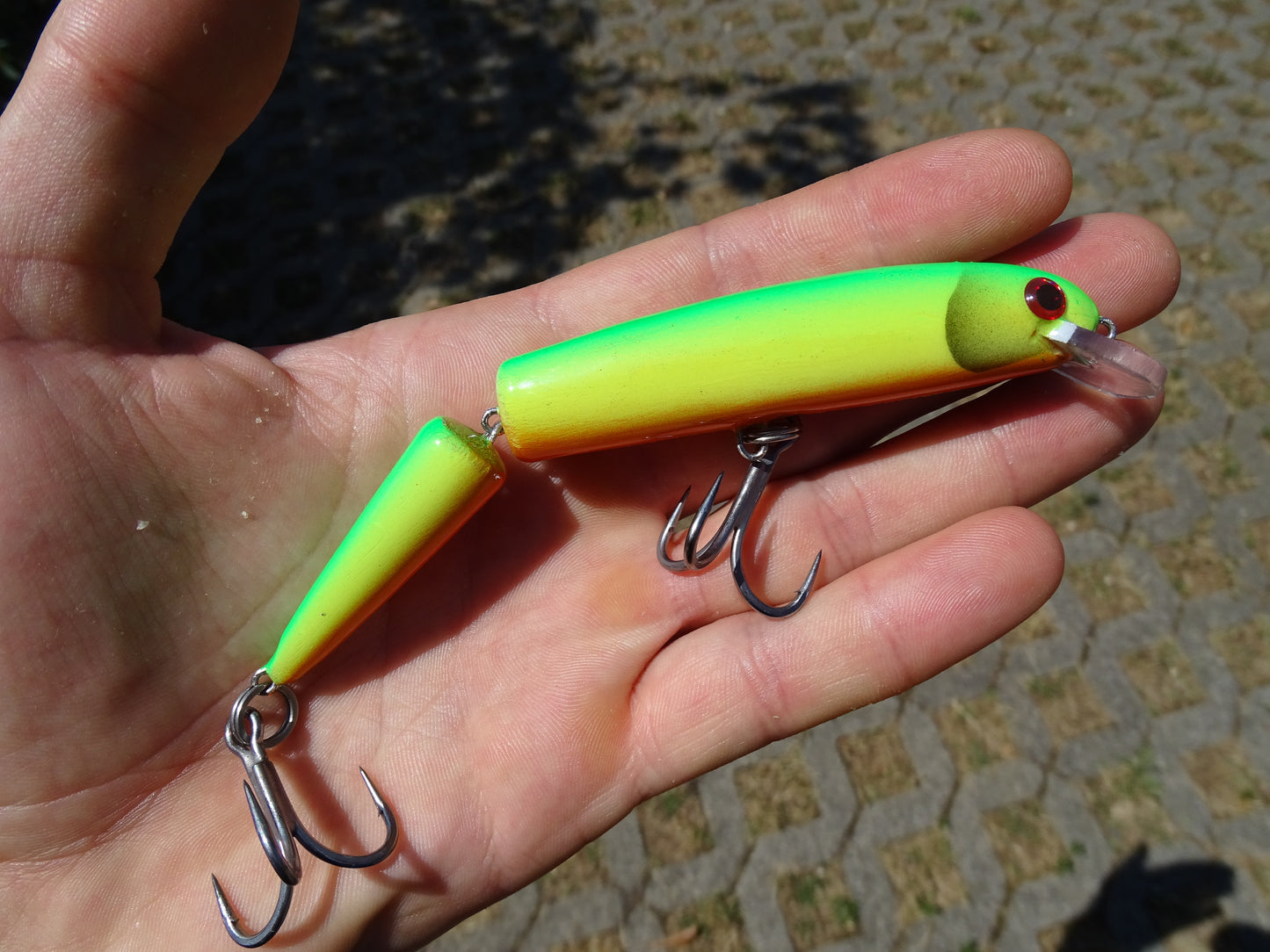 DGF Cat 13cm